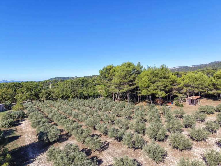 House Puget - 3 bedrooms - 125m²