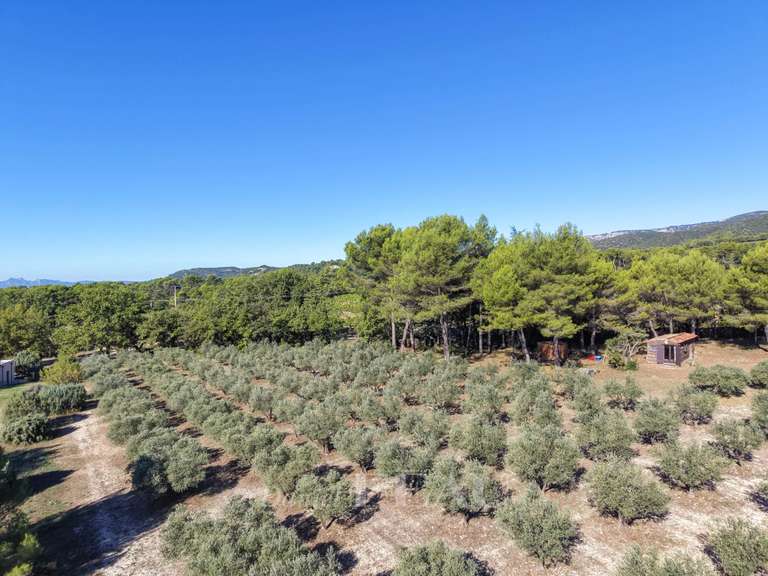 House Puget - 3 bedrooms - 125m²