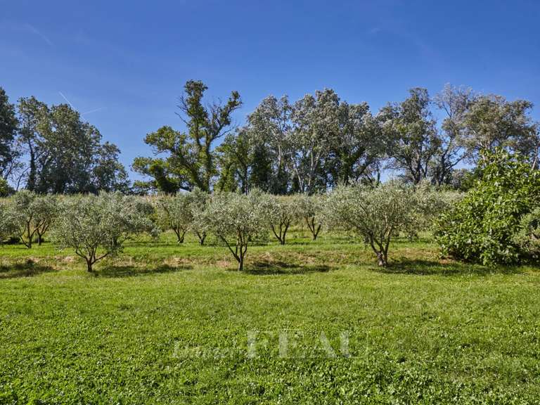 Maison Fourques - 14 chambres - 805m²