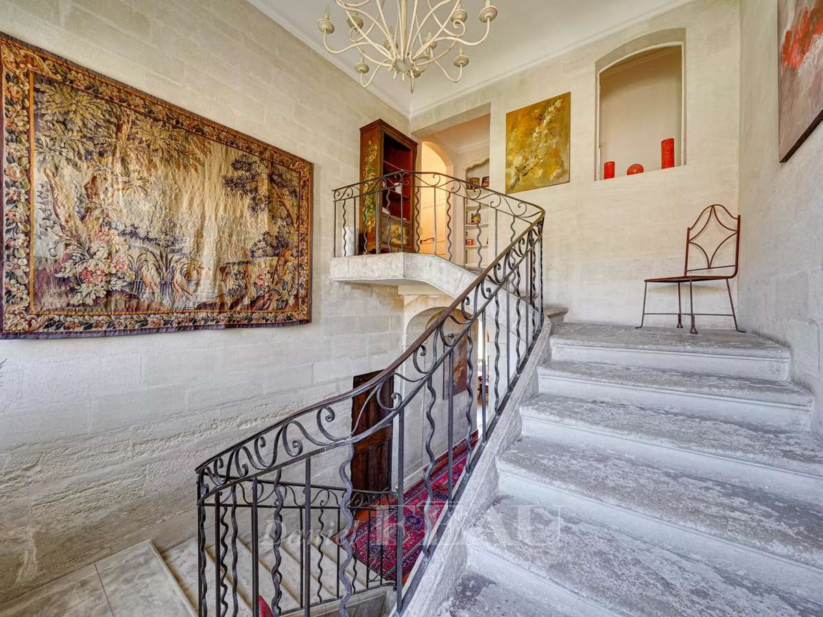 House Avignon