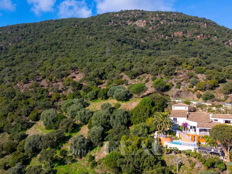 Maison Cavalaire-sur-Mer - 6 chambres - 255m²