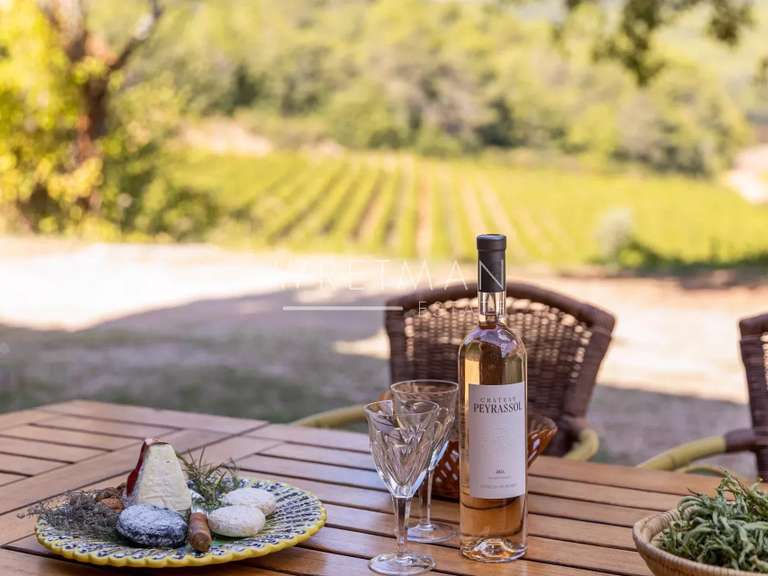 Maison Le Cannet-des-Maures - 7 chambres - 360m²