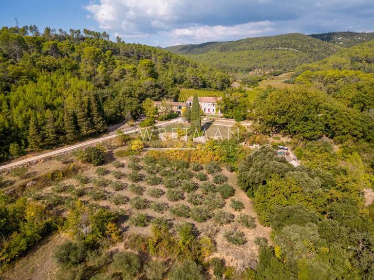 Maison Le Cannet-des-Maures - 7 chambres - 360m²