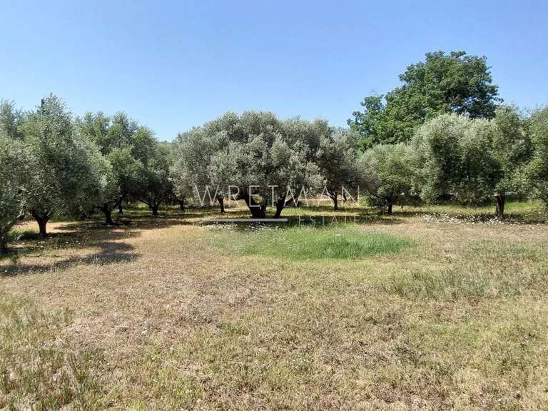 House Lorgues - 4 bedrooms - 150m²