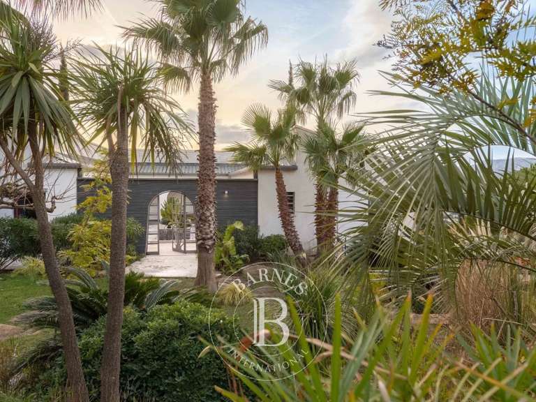 Maison Cassis - 7 chambres - 406m²