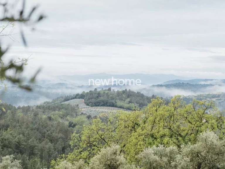 House Tanneron - 4 bedrooms - 166m²