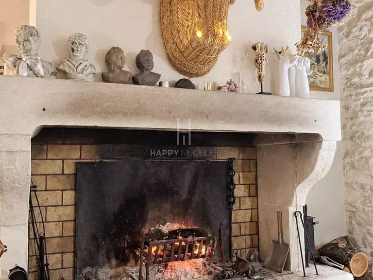 House Saint-Rémy-de-Provence - 5 bedrooms - 250m²