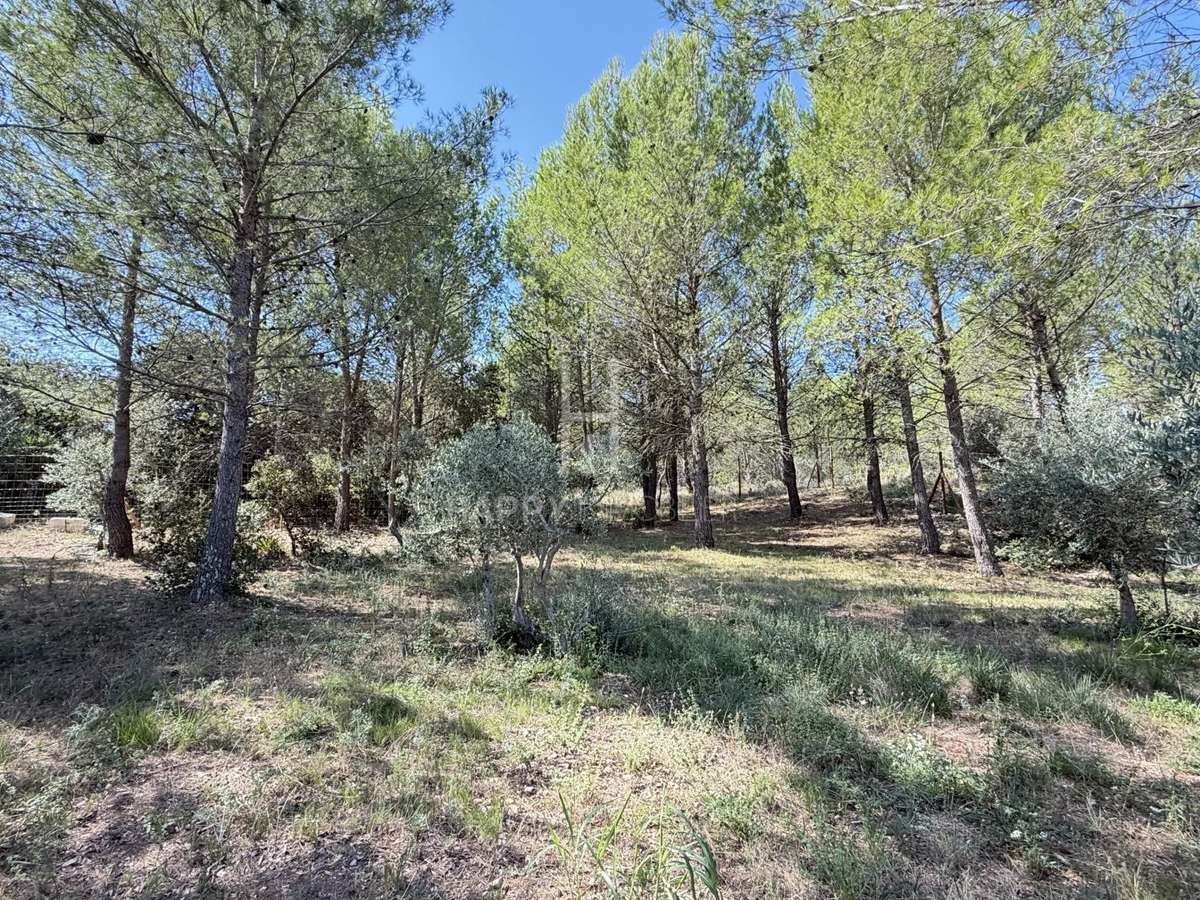 House Fontvieille