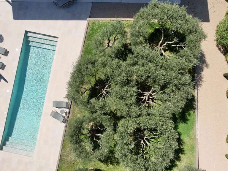 House Uzès - 5 bedrooms - 339m²