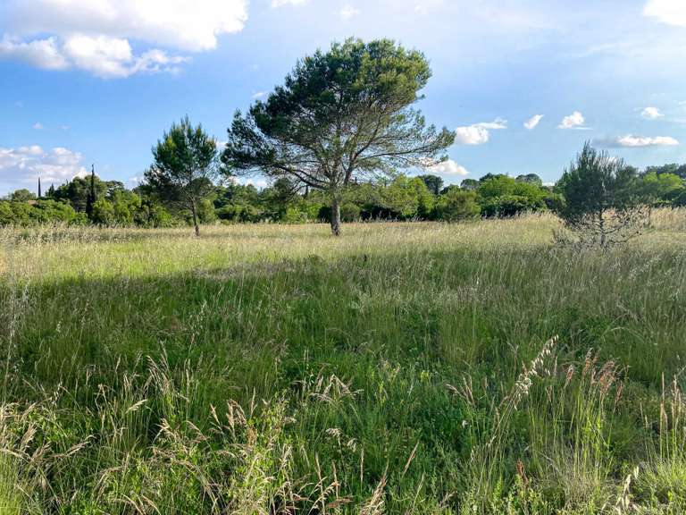 House Uzès - 4 bedrooms - 206m²