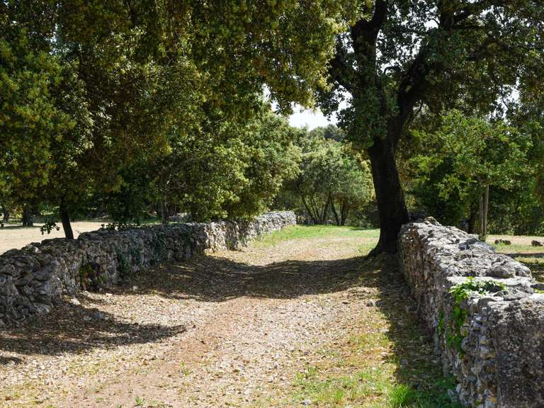 Maison Goudargues - 7 chambres - 500m²