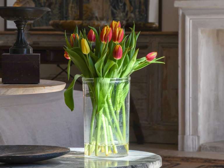 House Uzès - 5 bedrooms - 423m²