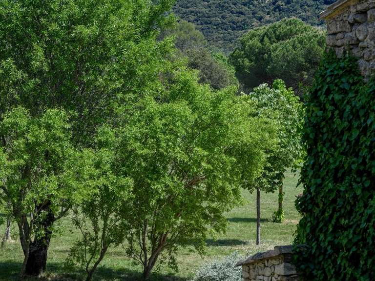 House Uzès - 6 bedrooms - 556m²