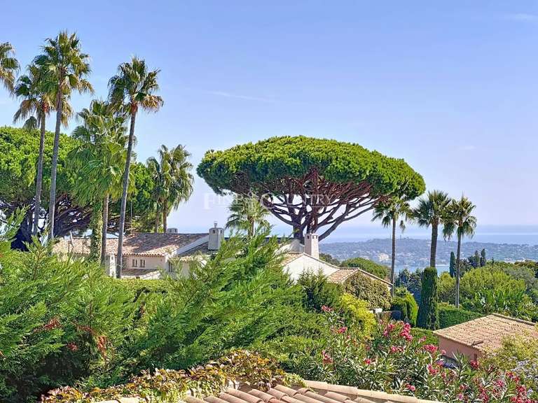 Maison Vallauris - 3 chambres - 260m²