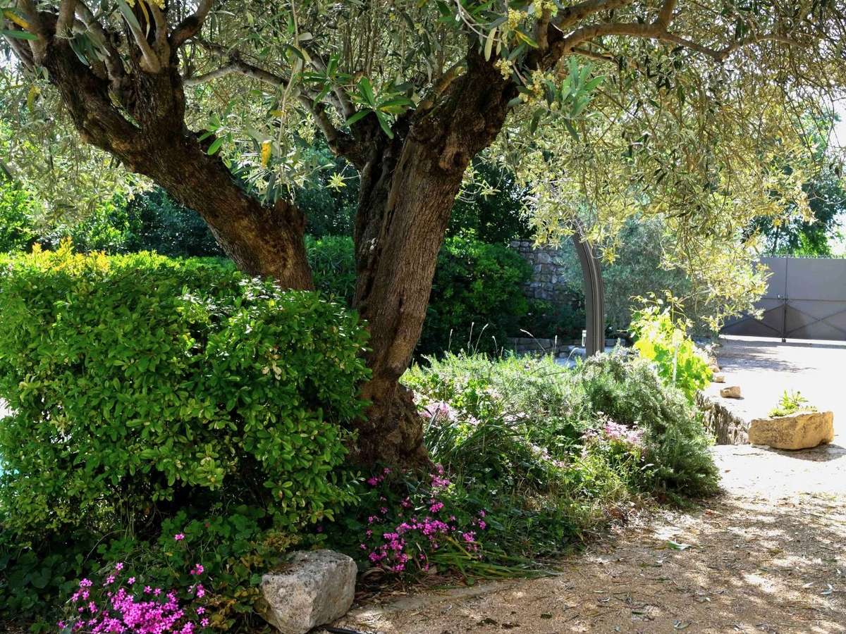 Maison Uzès