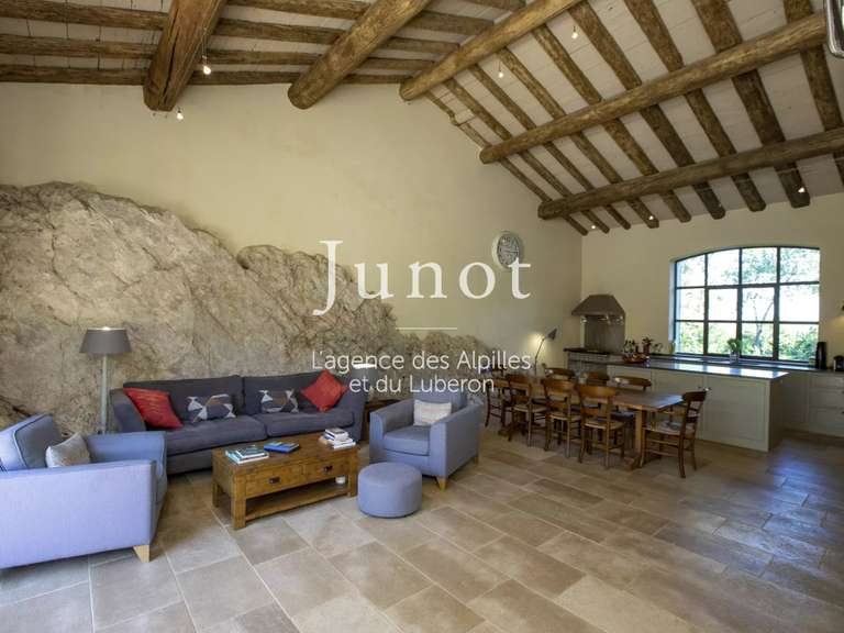 Maison Saint-Étienne-du-Grès - 5 chambres - 275m²