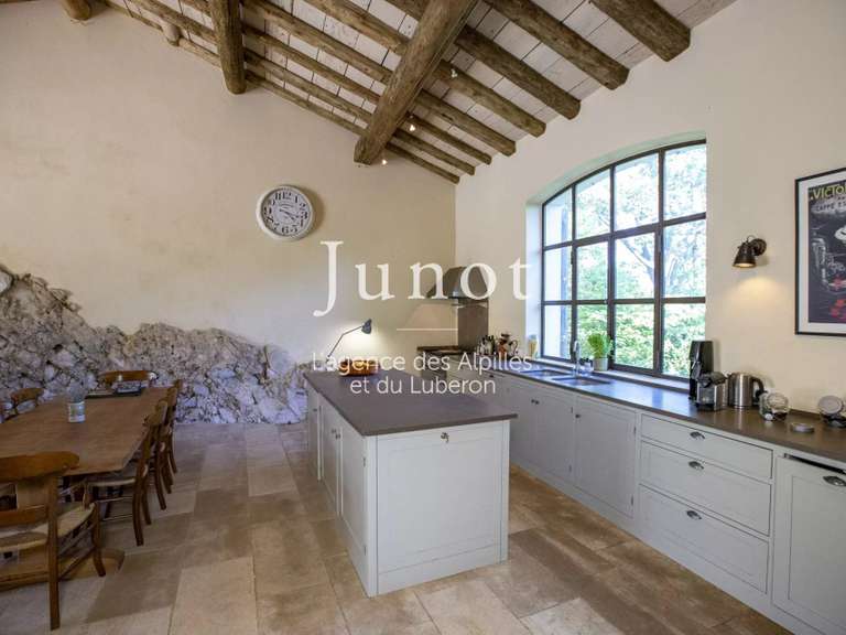 Maison Saint-Étienne-du-Grès - 5 chambres - 275m²