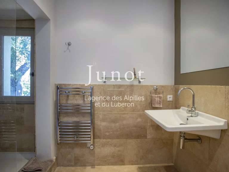 Maison Saint-Étienne-du-Grès - 5 chambres - 275m²