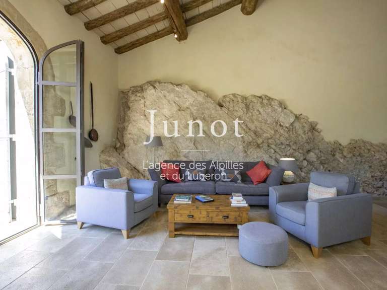 Maison Saint-Étienne-du-Grès - 5 chambres - 275m²