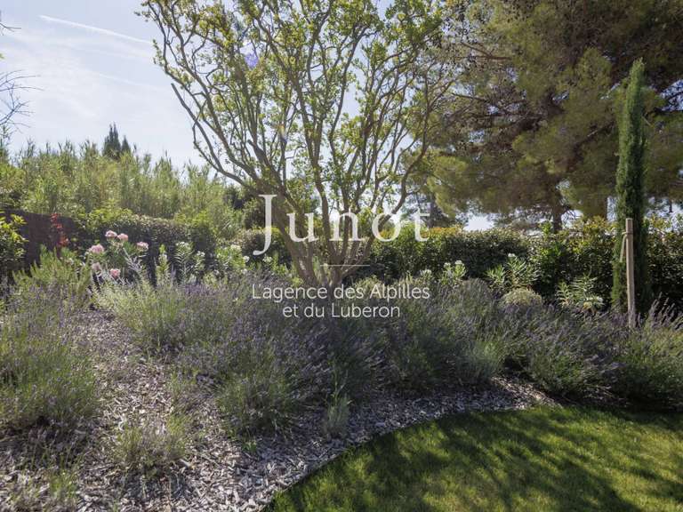 Maison Maussane-les-Alpilles - 6 chambres - 265m²