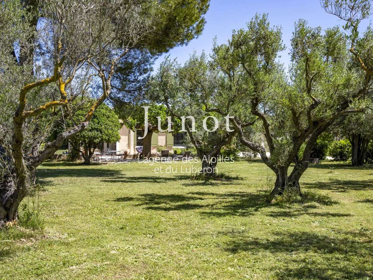 House Fontvieille