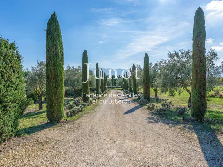 Maison Cabrières-d'Avignon - 6 chambres - 397m²