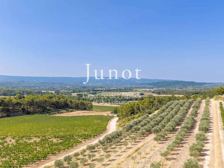 Maison Joucas - 10 chambres - 140m²