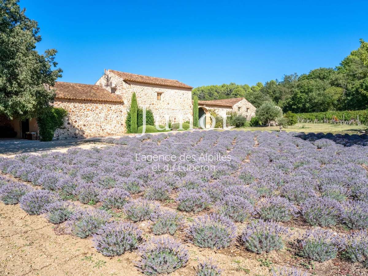 Maison Goult