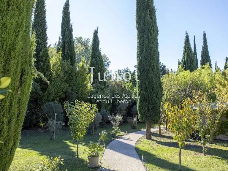 Maison Maussane-les-Alpilles - 4 chambres - 207m²