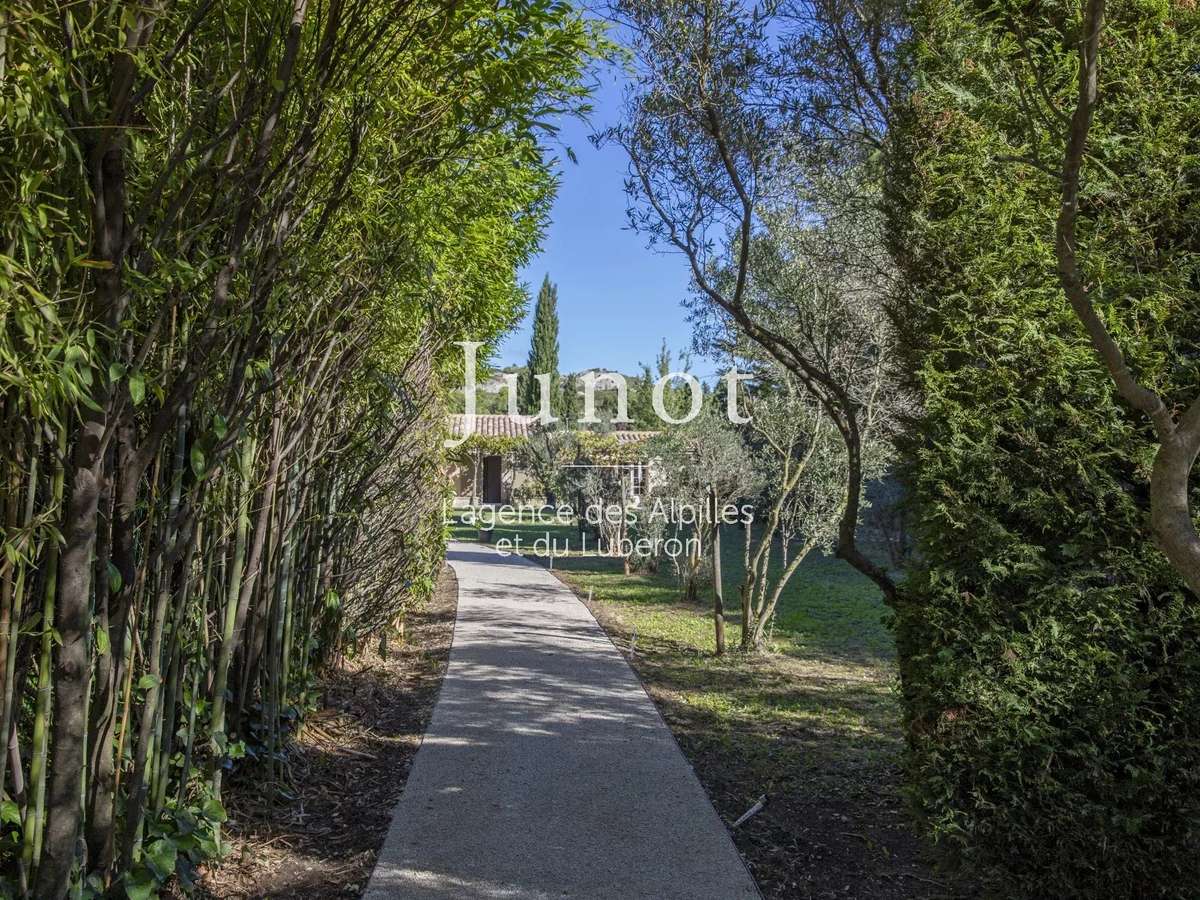 House Maussane-les-Alpilles