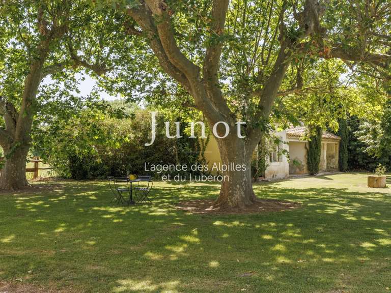 Maison Saint-Martin-de-Crau - 3 chambres - 435m²