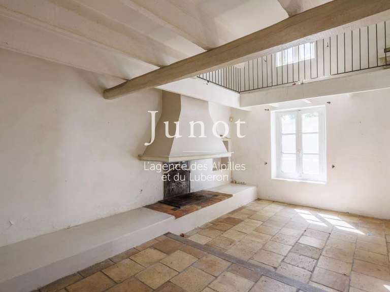 Maison Saint-Martin-de-Crau - 3 chambres - 435m²