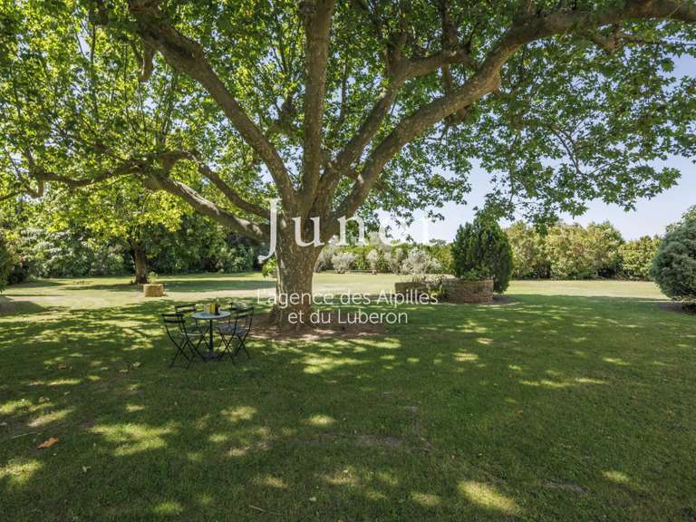Maison Saint-Martin-de-Crau - 3 chambres - 435m²