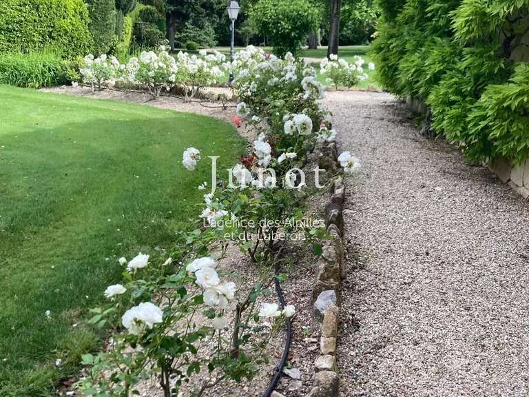 Maison Maussane-les-Alpilles - 5 chambres - 210m²