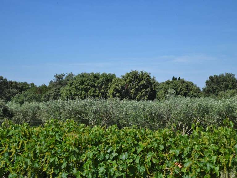 Maison Uzès - 3 chambres - 122m²