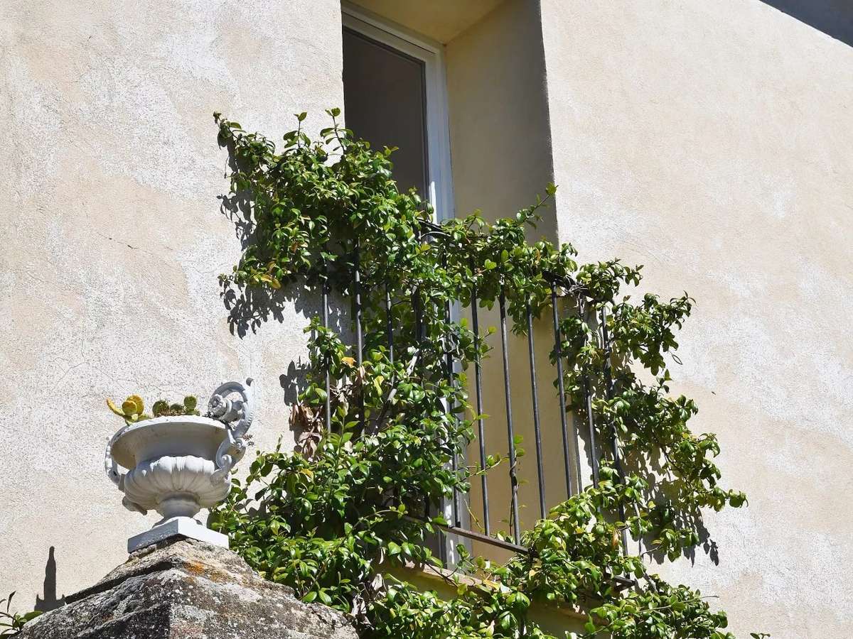 Maison Uzès