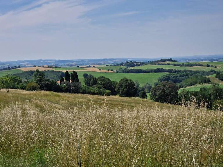 Maison Carcassonne - 15 chambres - 575m²