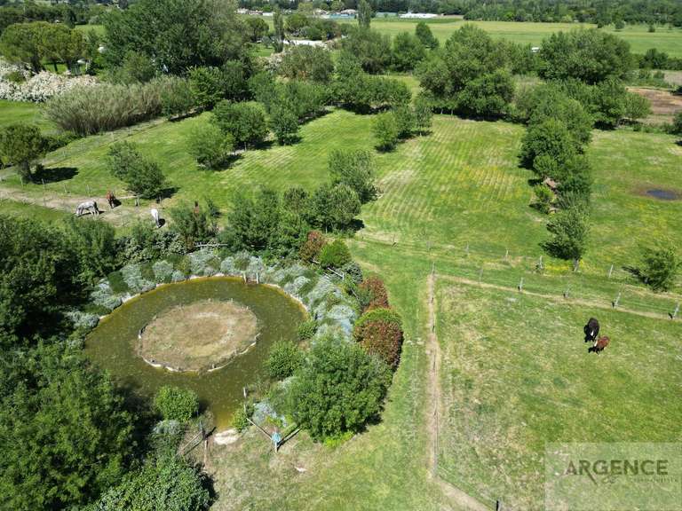 Maison Montpellier - 4 chambres - 250m²