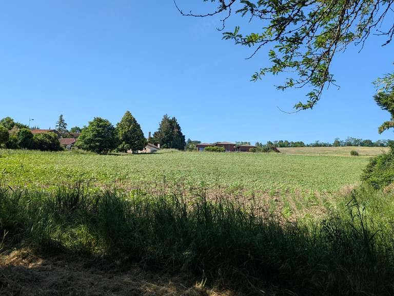 Maison Montgiscard - 2 chambres - 650m²