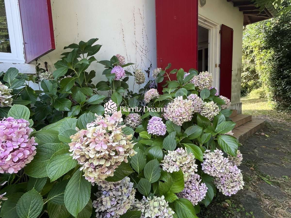 House Anglet