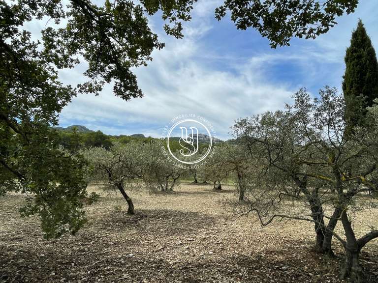 Maison Saint-Rémy-de-Provence - 5 chambres - 145m²
