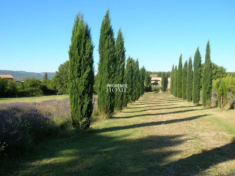 Maison Maubec - 8 chambres - 625m²