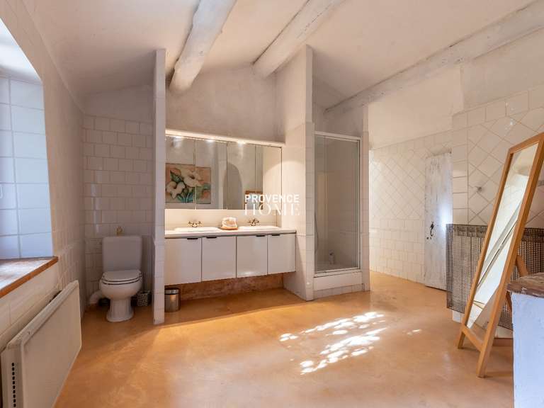 Maison Maubec - 8 chambres - 625m²