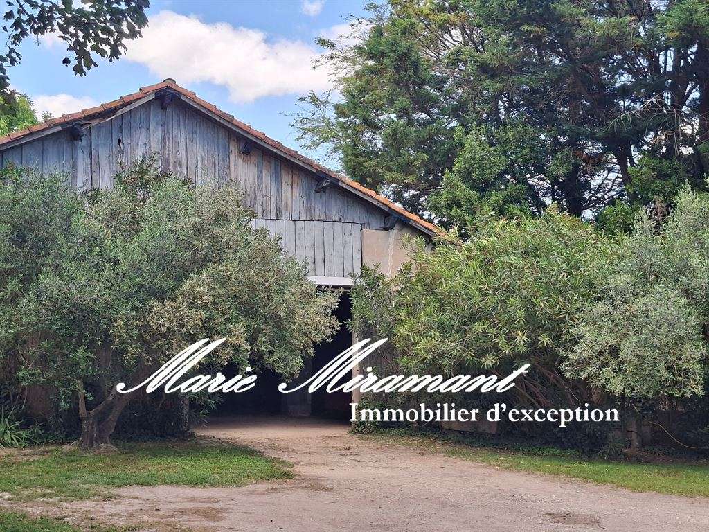 Maison Arles