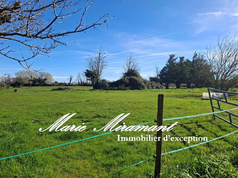 Maison Arles - 9 chambres - 600m²