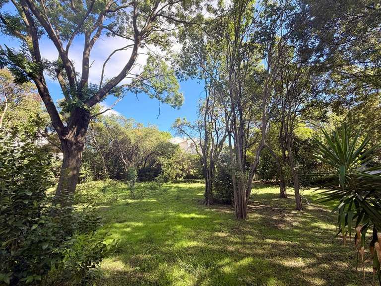 House Montpellier - 85m²