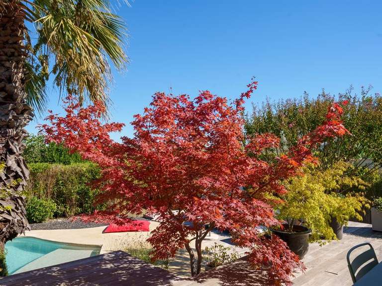 House Juvignac - 4 bedrooms - 200m²