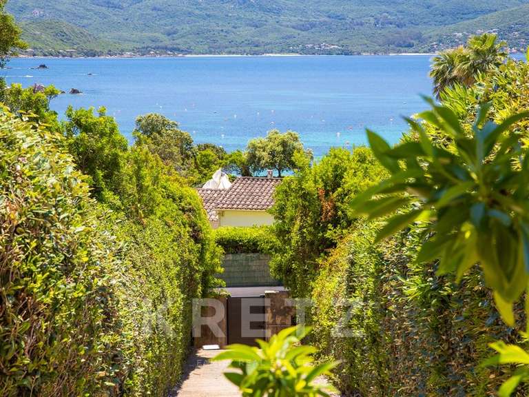 Maison Pietrosella - 9 chambres - 281m²