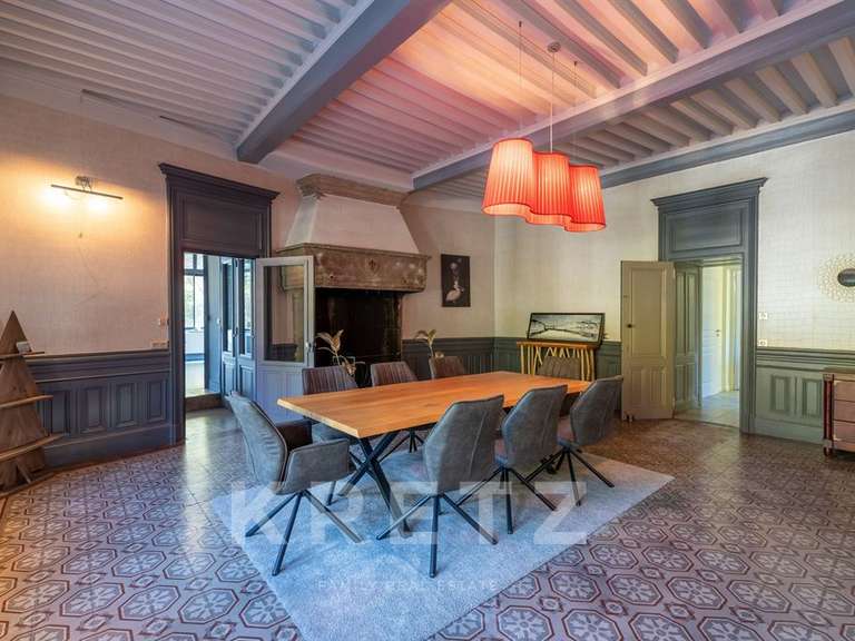 House L'Hôpital-le-Grand - 6 bedrooms - 563m²