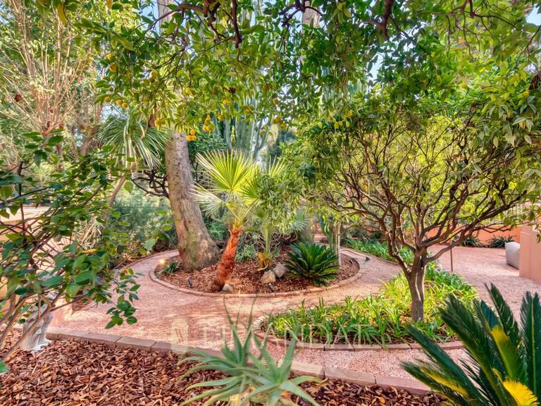 Maison Menton - 4 chambres - 307m²